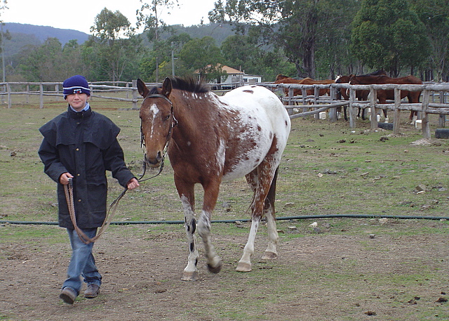DSC09007