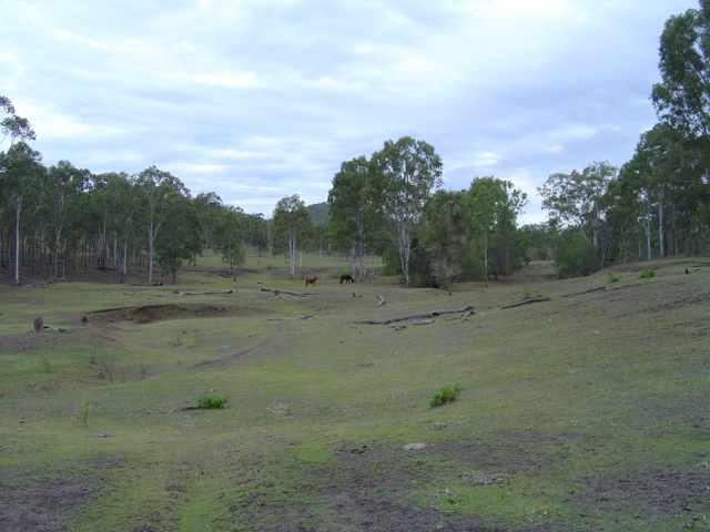 DSC09139