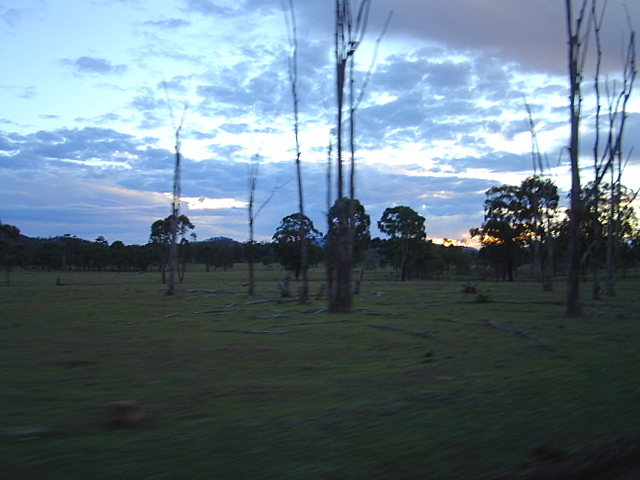 DSC09146
