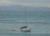DSC08780
