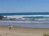 DSC09236