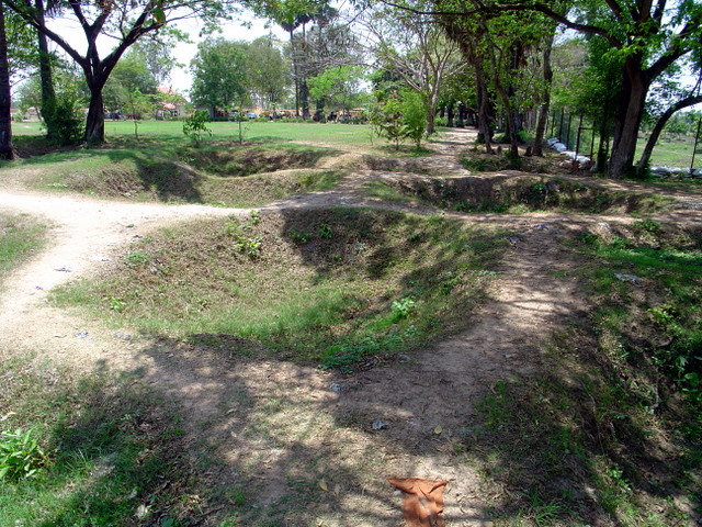 DSC06529