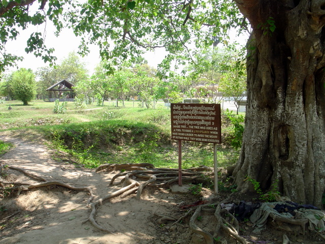 DSC06531