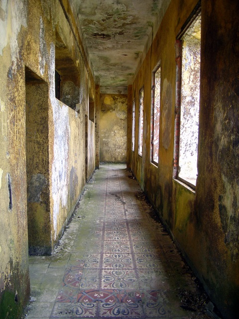 DSC06709