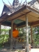 DSC06335