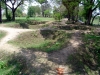 DSC06529