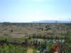 DSC06777