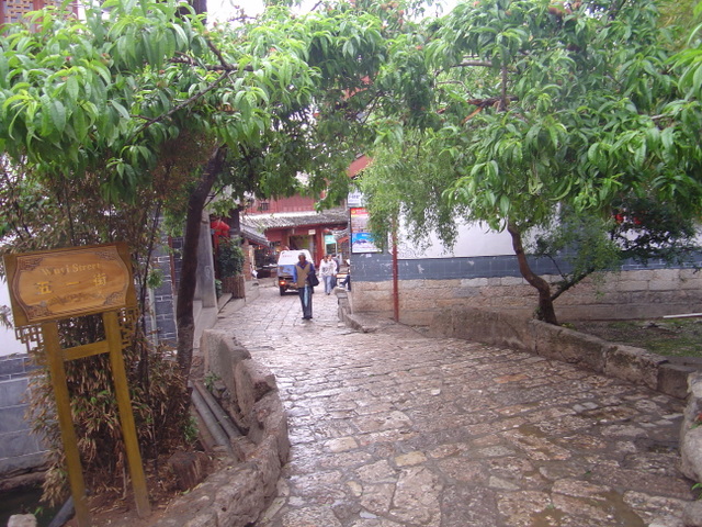 DSC07933