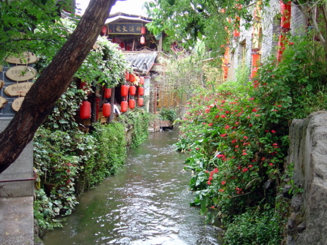 DSC08049