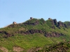 DSC07554