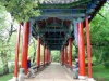 DSC08020