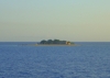 DSC10537