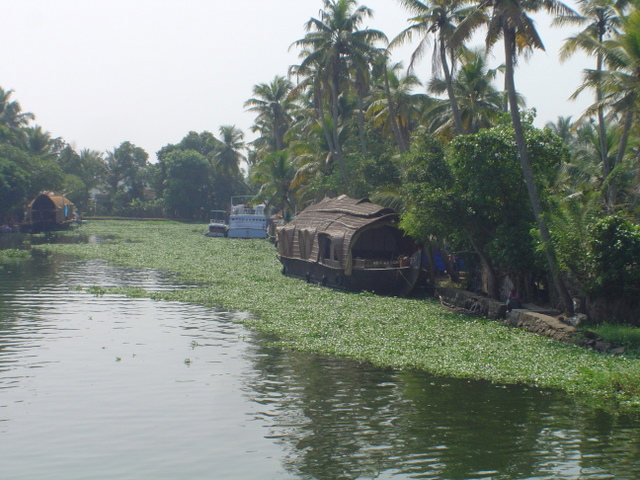 DSC03920