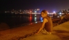 DSC03562
