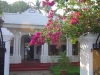 DSC03878