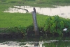 DSC03965