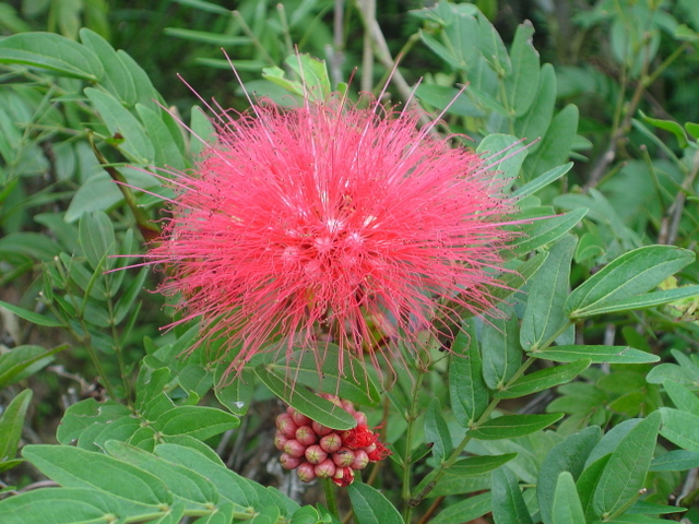 DSC04445