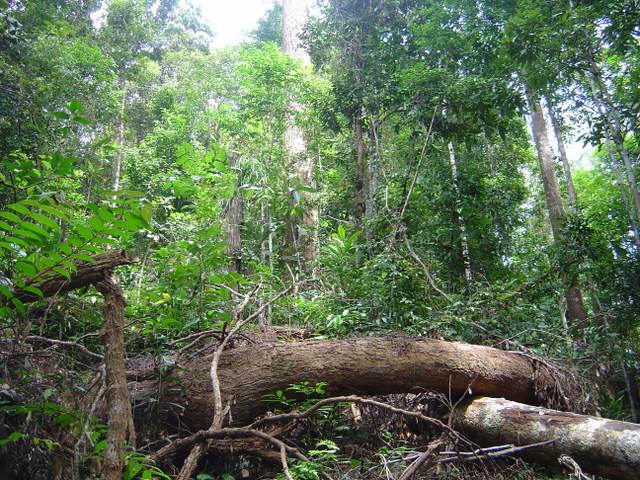 DSC04569