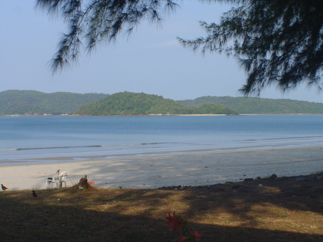 DSC05110