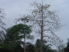 DSC04508