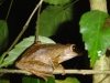 DSC04597