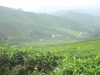 DSC04683