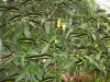 DSC04765