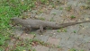 DSC04912