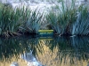 DSC09658