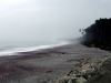 DSC09886