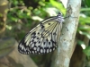DSC04320