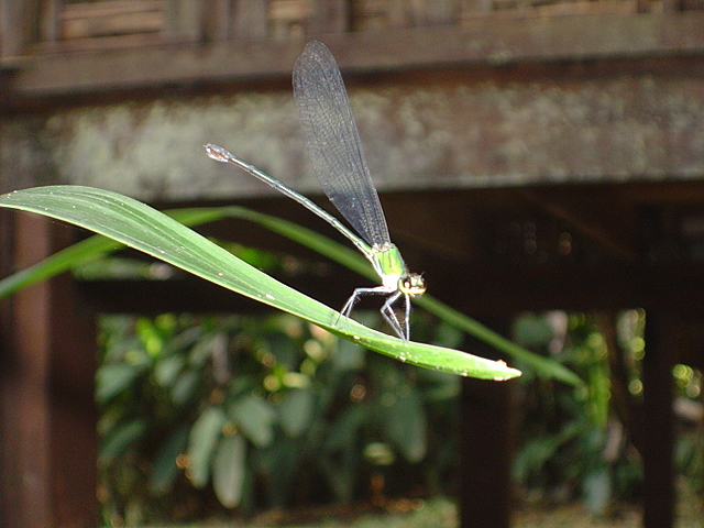 DSC05479