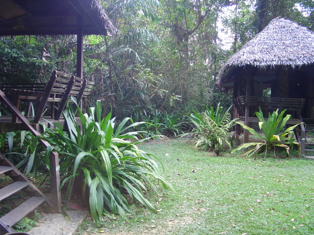 DSC05486