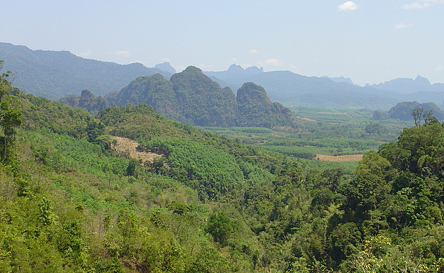 DSC05546
