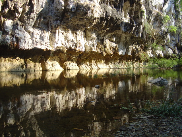 DSC05560