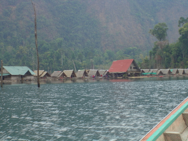 DSC05608