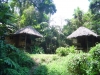 DSC05512