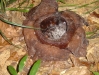 DSC05531