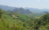 DSC05546