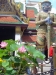 DSC05850